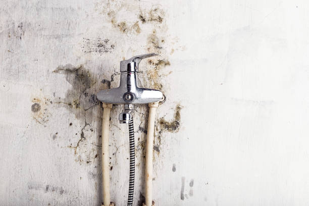 Best Mold Testing  in Clawson, MI