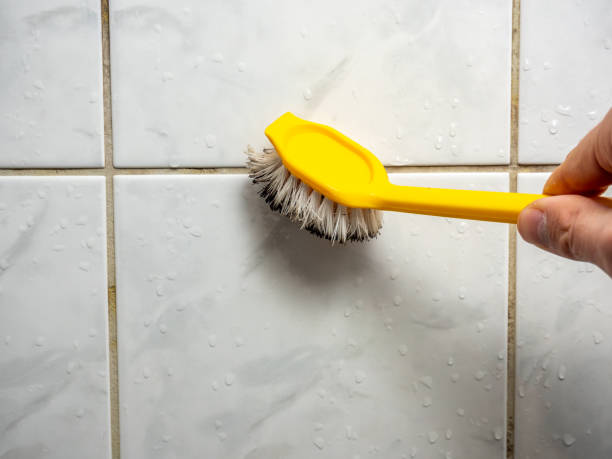 Best Mold Removal Company Near Me  in Clawson, MI