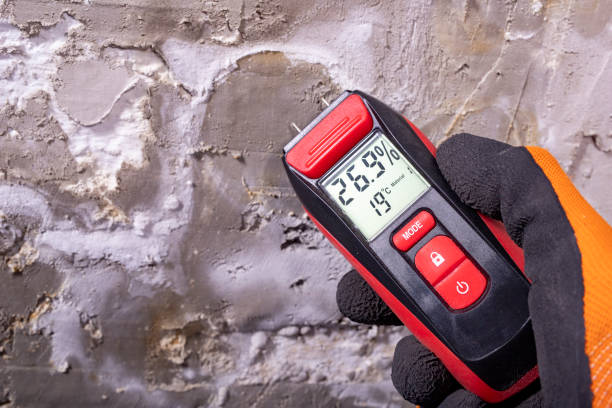Best Fast Mold Removal  in Clawson, MI
