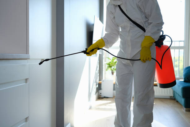 Best Attic Mold Removal  in Clawson, MI